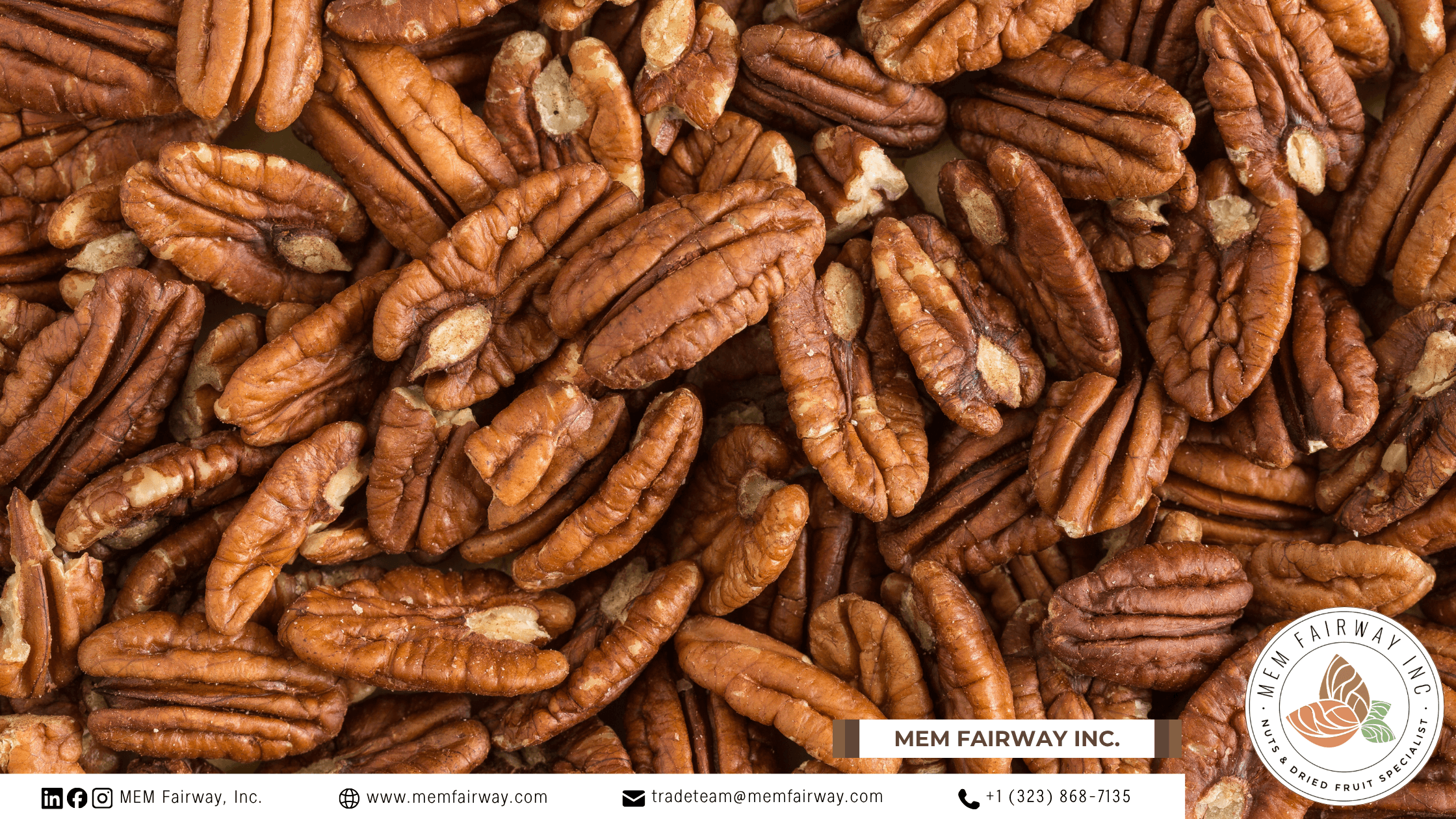 Pecans kernels and shelled